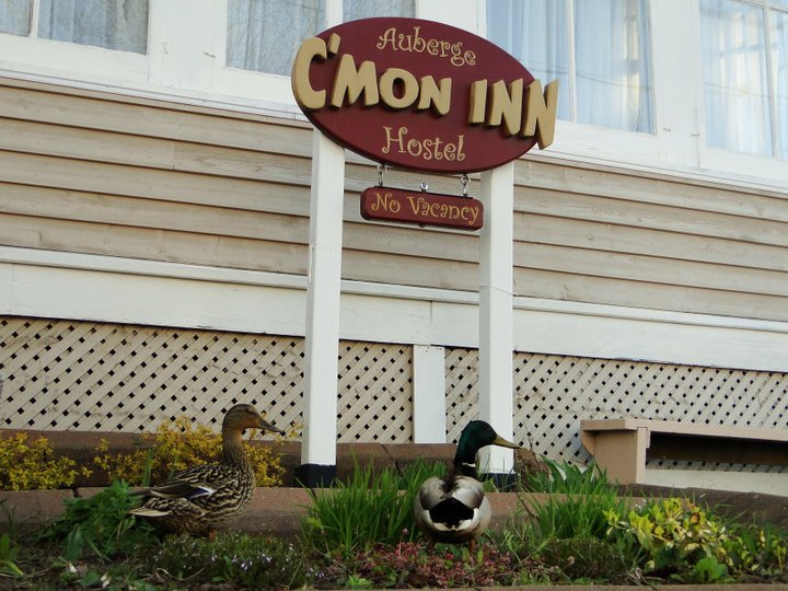 Auberge C'Mon Inn Hostel | Hostel Jobs