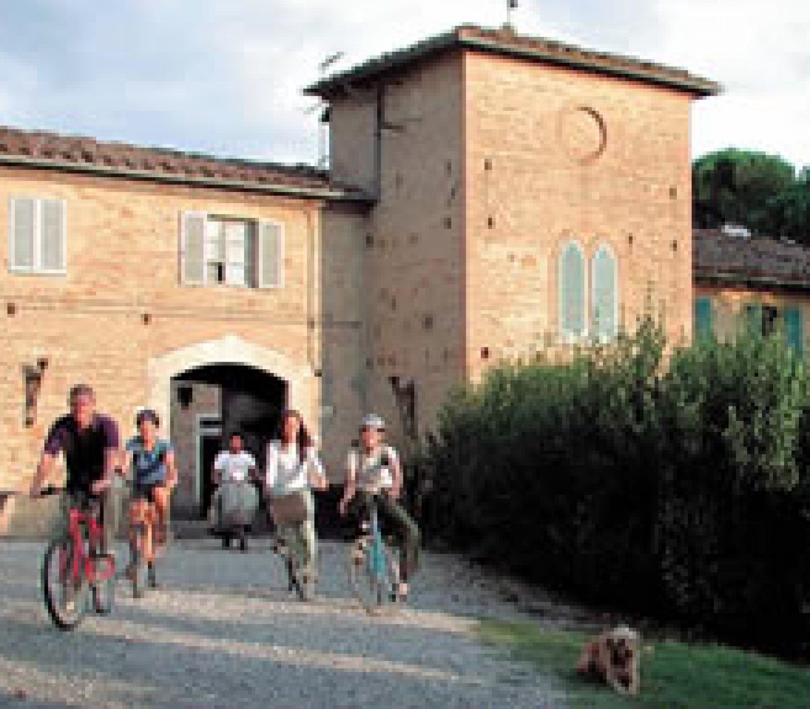 francesco corsetti's picture