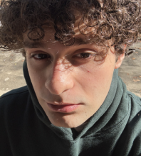 matteoomercurio1's picture