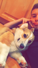 Jamajo122's picture