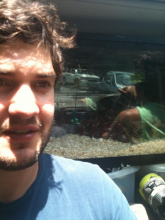Rog.luke's picture